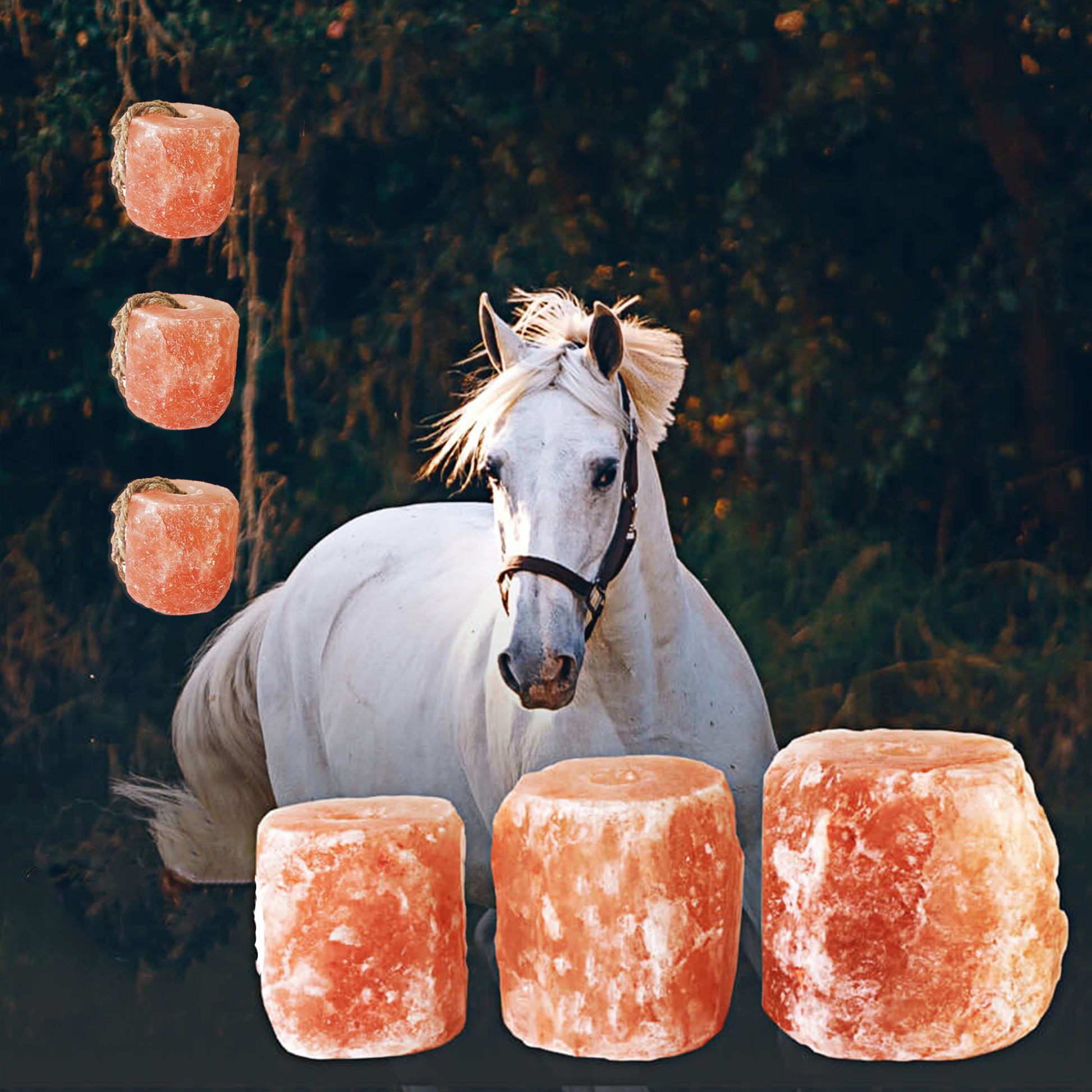 HORSES LICK HIMALAYAN SALT PACK OF 6 (3.5-4LB Each)