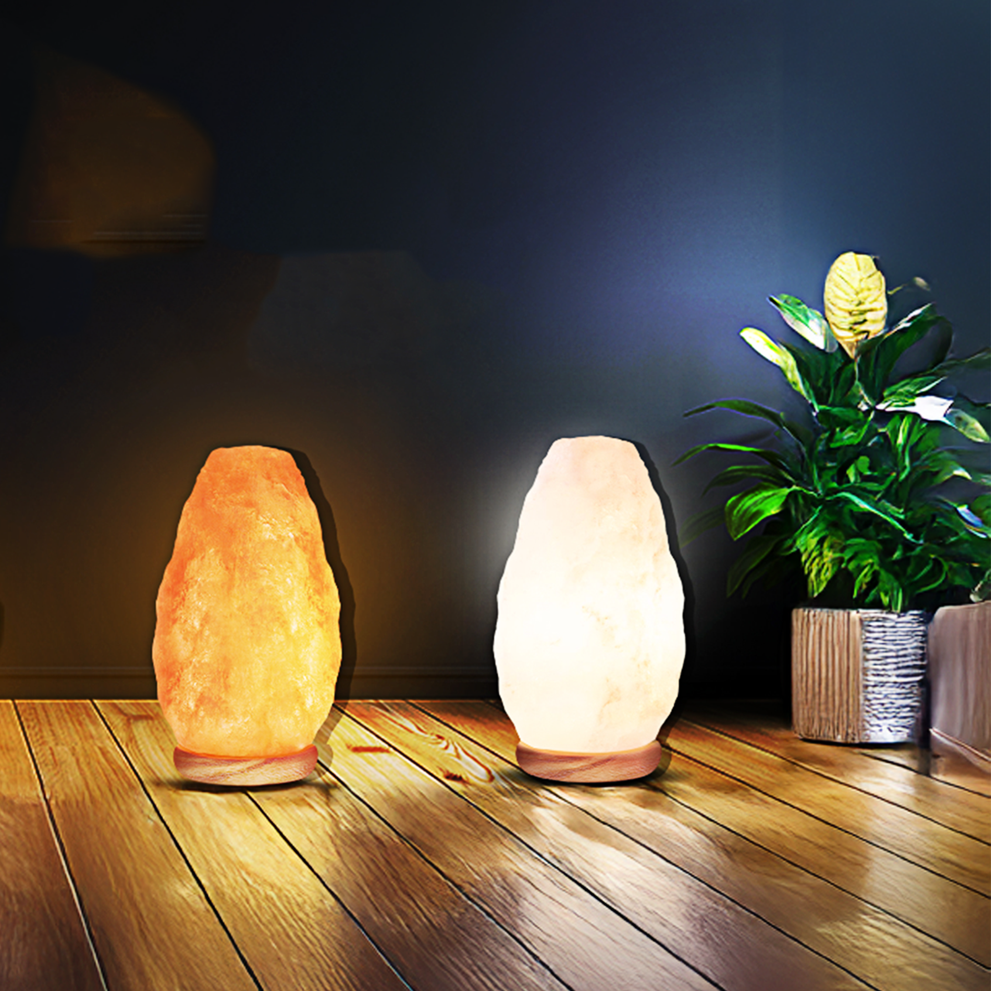 Himalayan Salt Lamps
