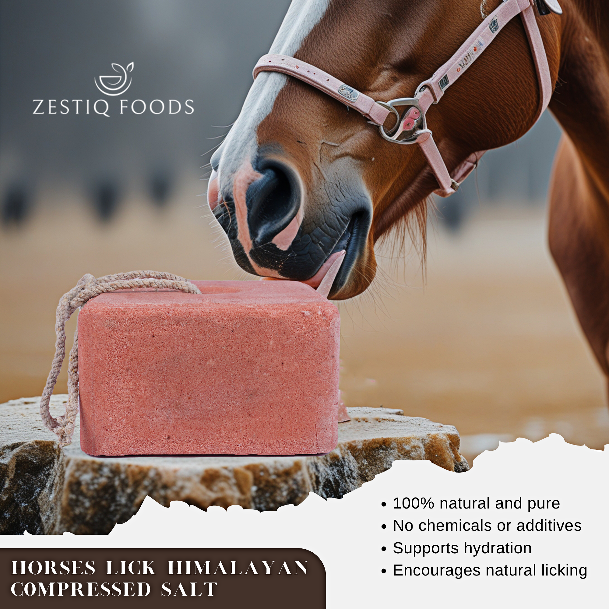 HORSES LICK HIMALAYAN C0MPRESSED SALT 11.2 LB